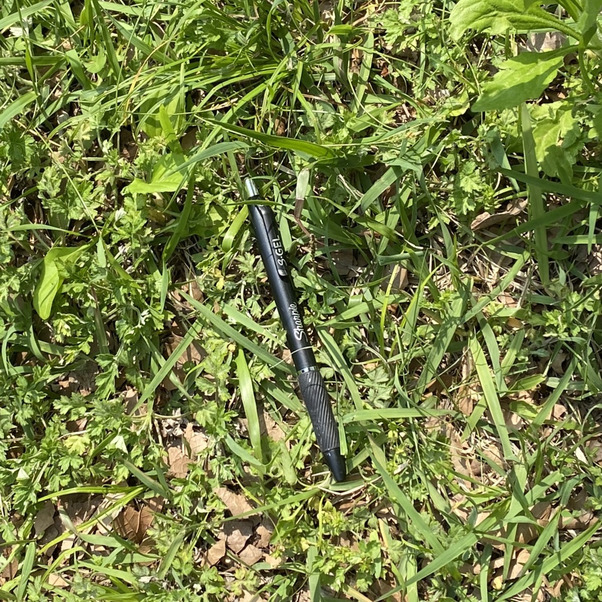 pen